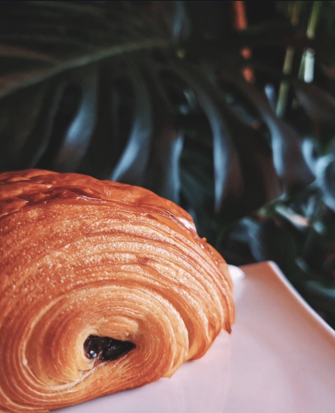 Pastry close-up